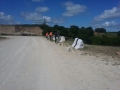 IMG-20160519-WA0004