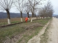 IMG-20160405-WA0011