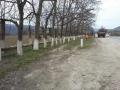 IMG-20160405-WA0013