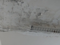 DSC00580