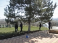DSC08171.JPG