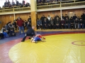 IMG_7974.JPG
