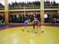 IMG_7993.JPG