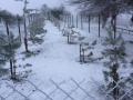 IMG-20181129-WA0057