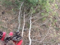 IMG-20181129-WA0065