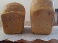 20150202_104014