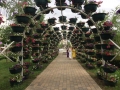 IMG-20190622-WA0091