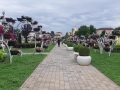 IMG-20190622-WA0110