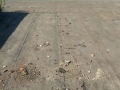 IMG-20140909-WA0007