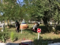 субботник-14.09.18г.5