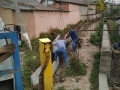asp.s.dilim--1537253182132