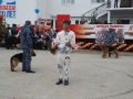 DSC_1422.JPG