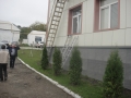 DSC09467