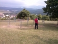 CAM01077 (1)