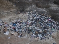 DSC_8257.JPG