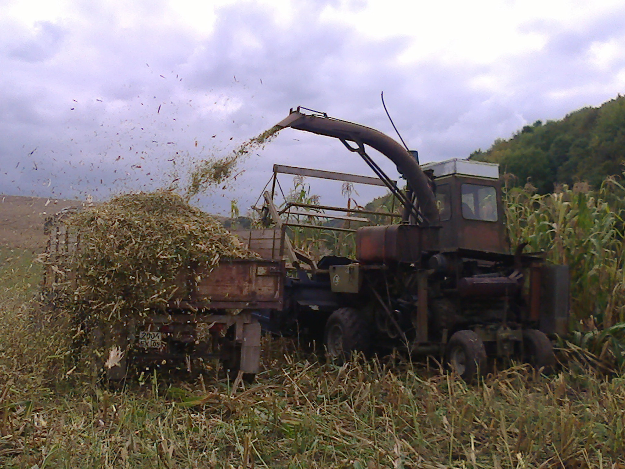 Уборка кукурузы на силос трактором ДТ 75